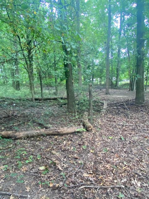 Tiny photo for 0 Paul Road, Westerville, OH 43082 (MLS # 226003866)