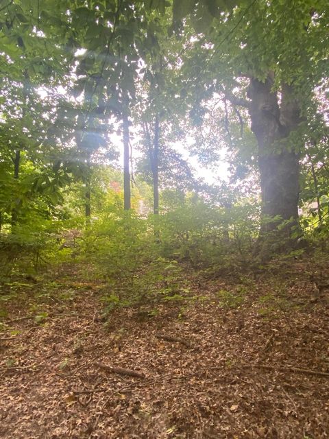 Tiny photo for 0 Paul Road, Westerville, OH 43082 (MLS # 226003866)