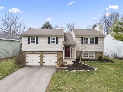 Photo of 6645 Brock Street, Dublin, OH 43017 (MLS # 226010483)