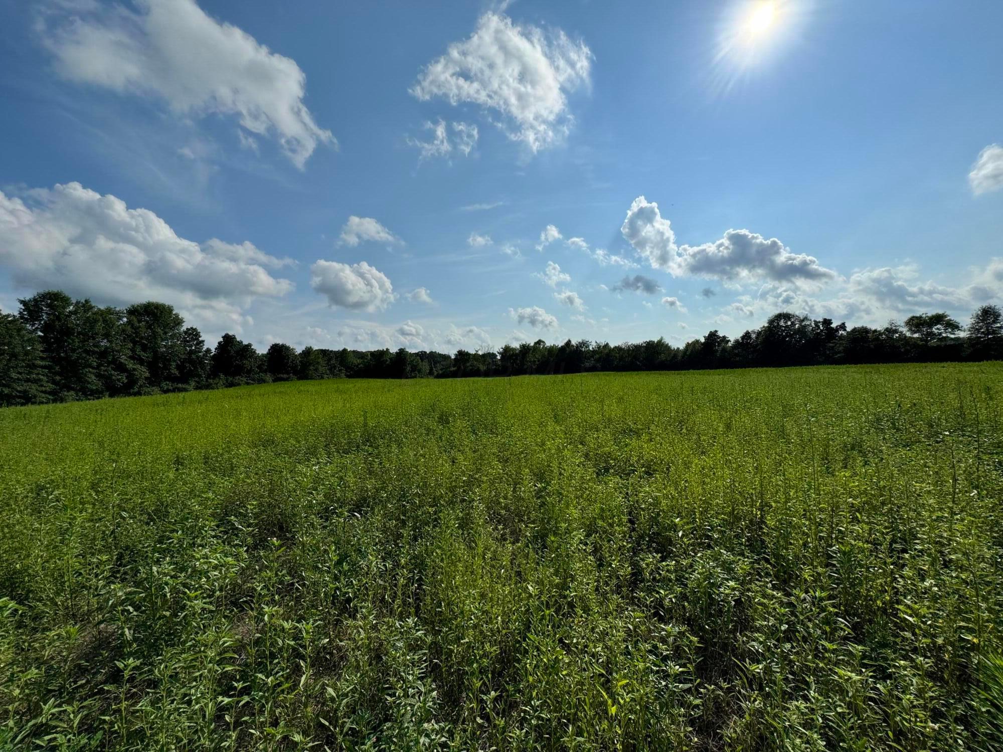 18656 W Darby Road, Marysville, Ohio image 4