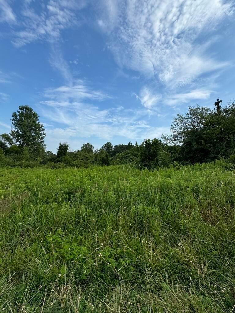 18656 W Darby Road, Marysville, Ohio image 15
