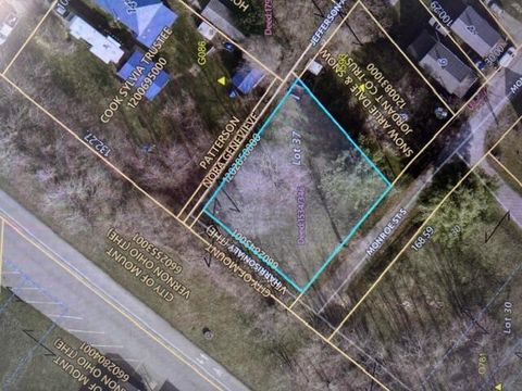 Photo of 10 S Monroe Street, Mount Vernon, OH 43050 (MLS # 226020260)