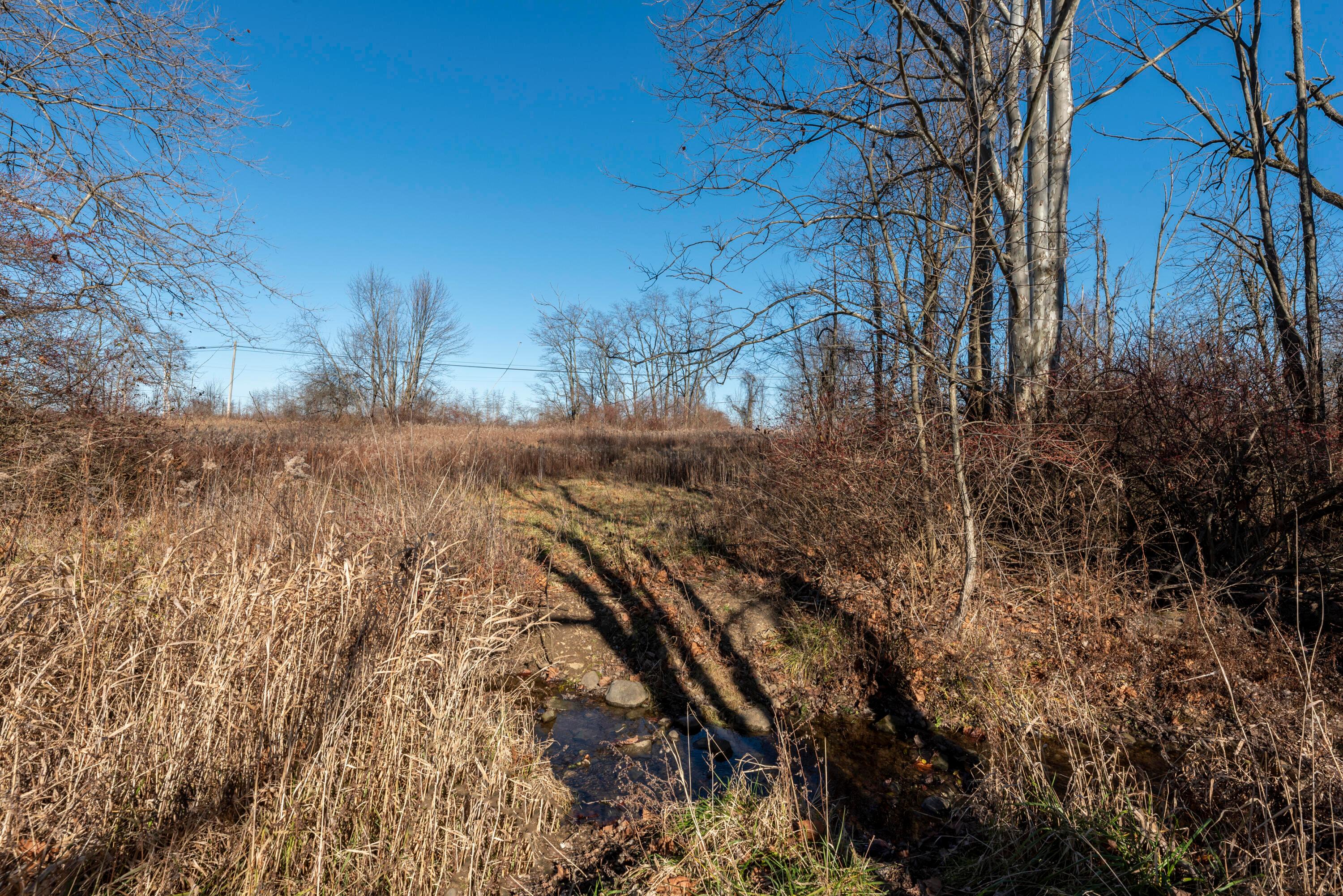 Worthington, Alexandria, Ohio image 37