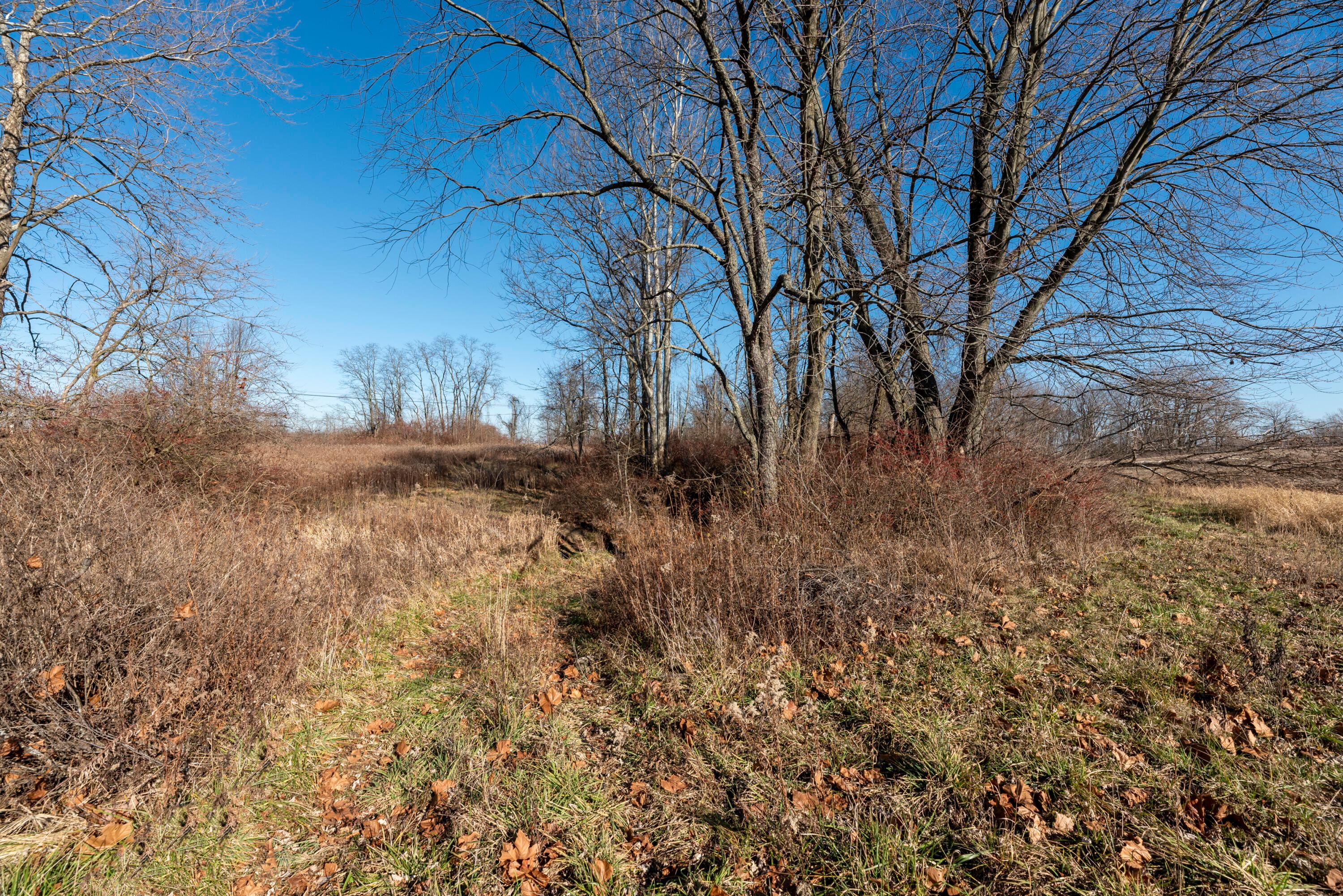 Worthington, Alexandria, Ohio image 36