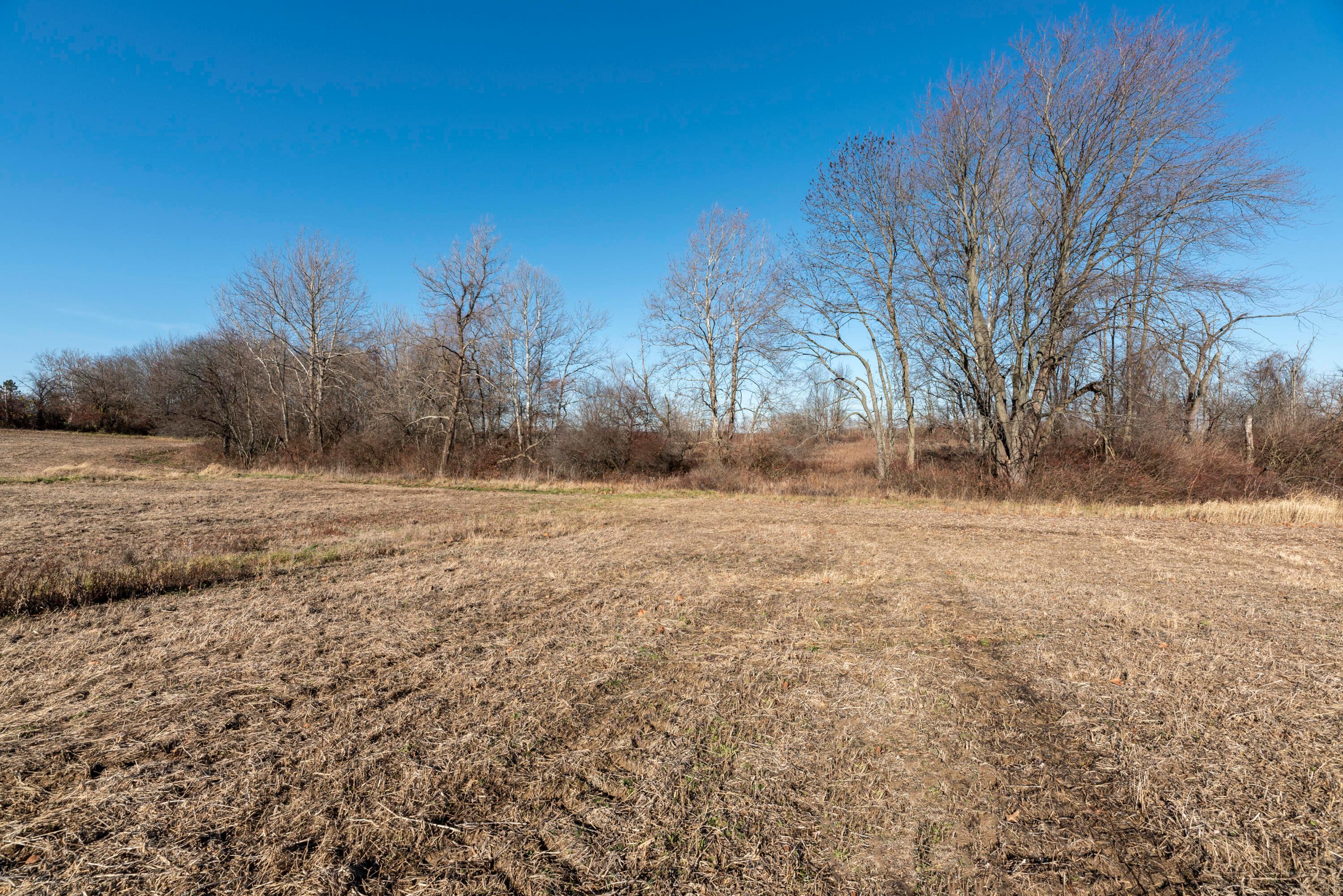 Worthington, Alexandria, Ohio image 38