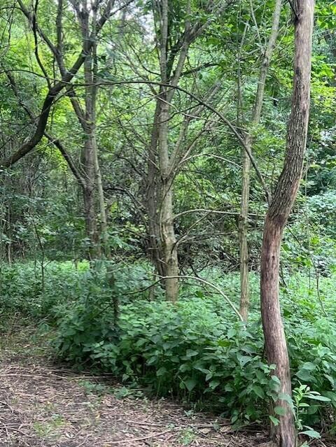 Photo of 0 Ball Rd Road, Centerburg, OH 43011 (MLS # 225029153) Photo of 0 Ball Rd Road, Centerburg, OH 43011 (MLS # 225029153)