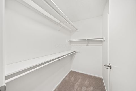 Tiny photo for 4933 Berry Leaf Place, Hilliard, OH 43026 (MLS # 225045437)