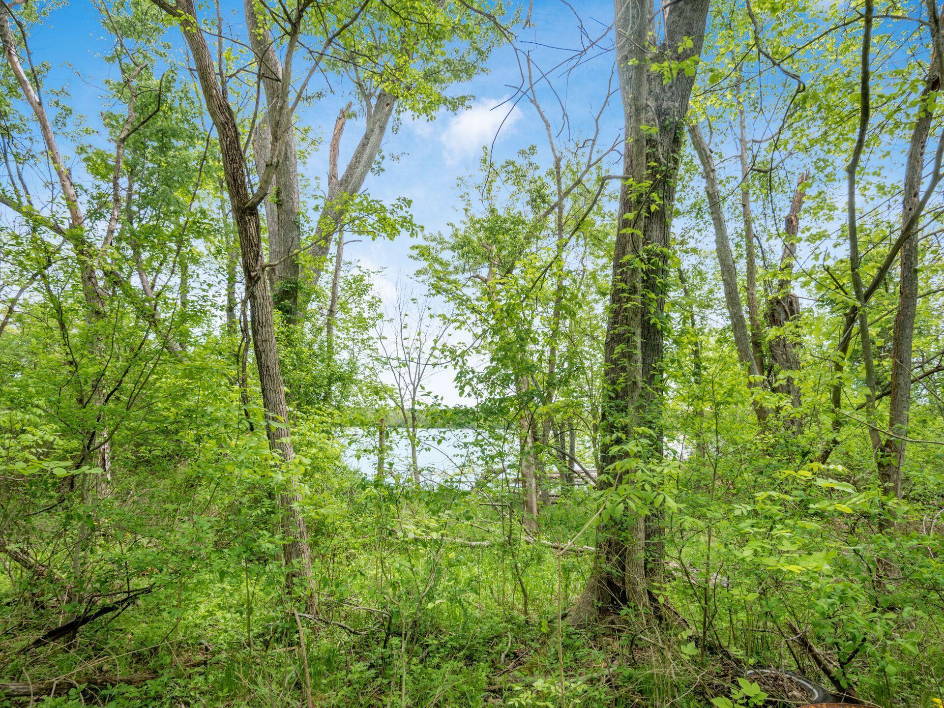 9684 Shawnee Trail, Powell, Ohio image 46