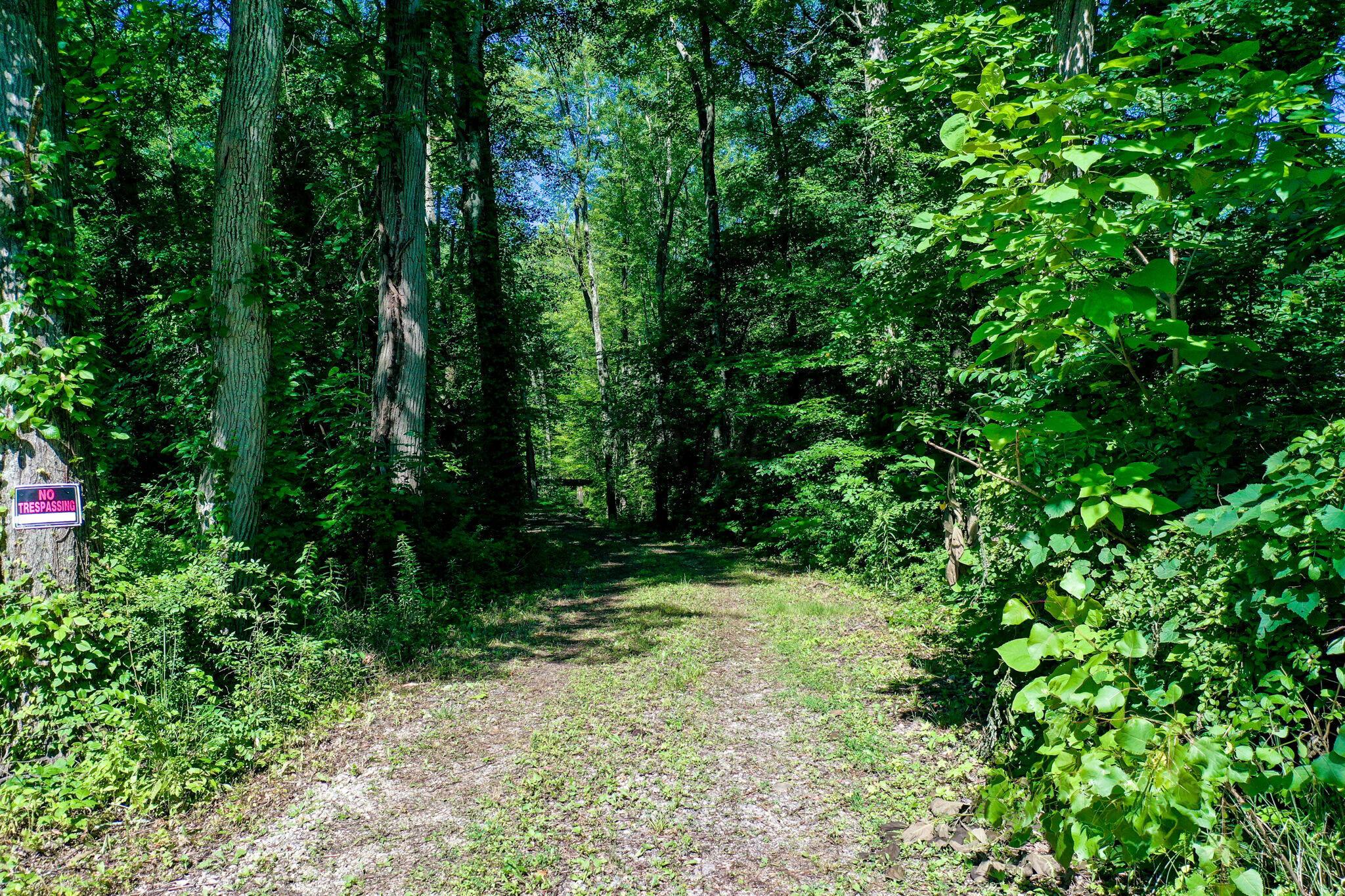 Babbitt Road, New Albany, Ohio image 7