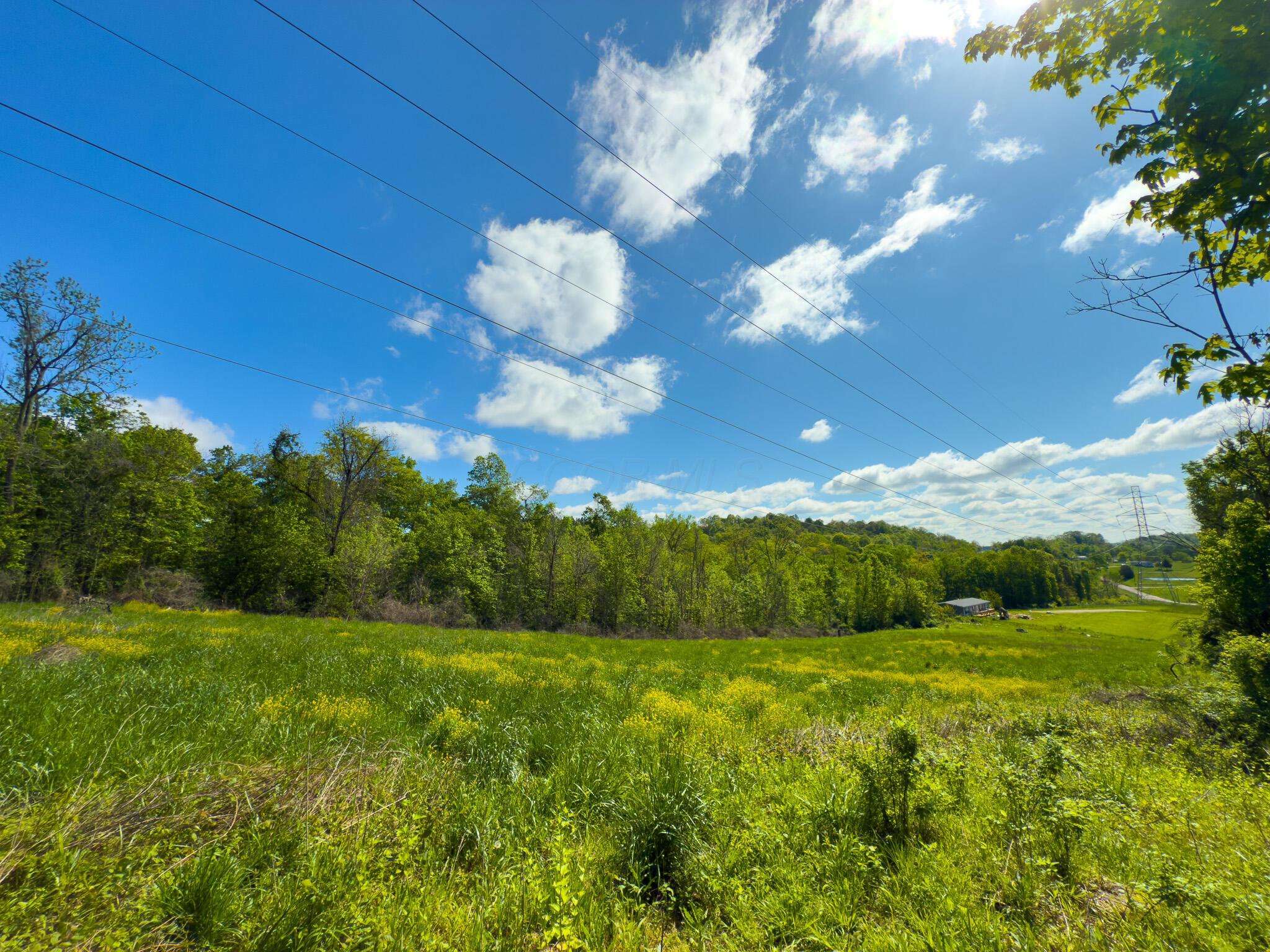 Morganville Road, Malta, Ohio image 8