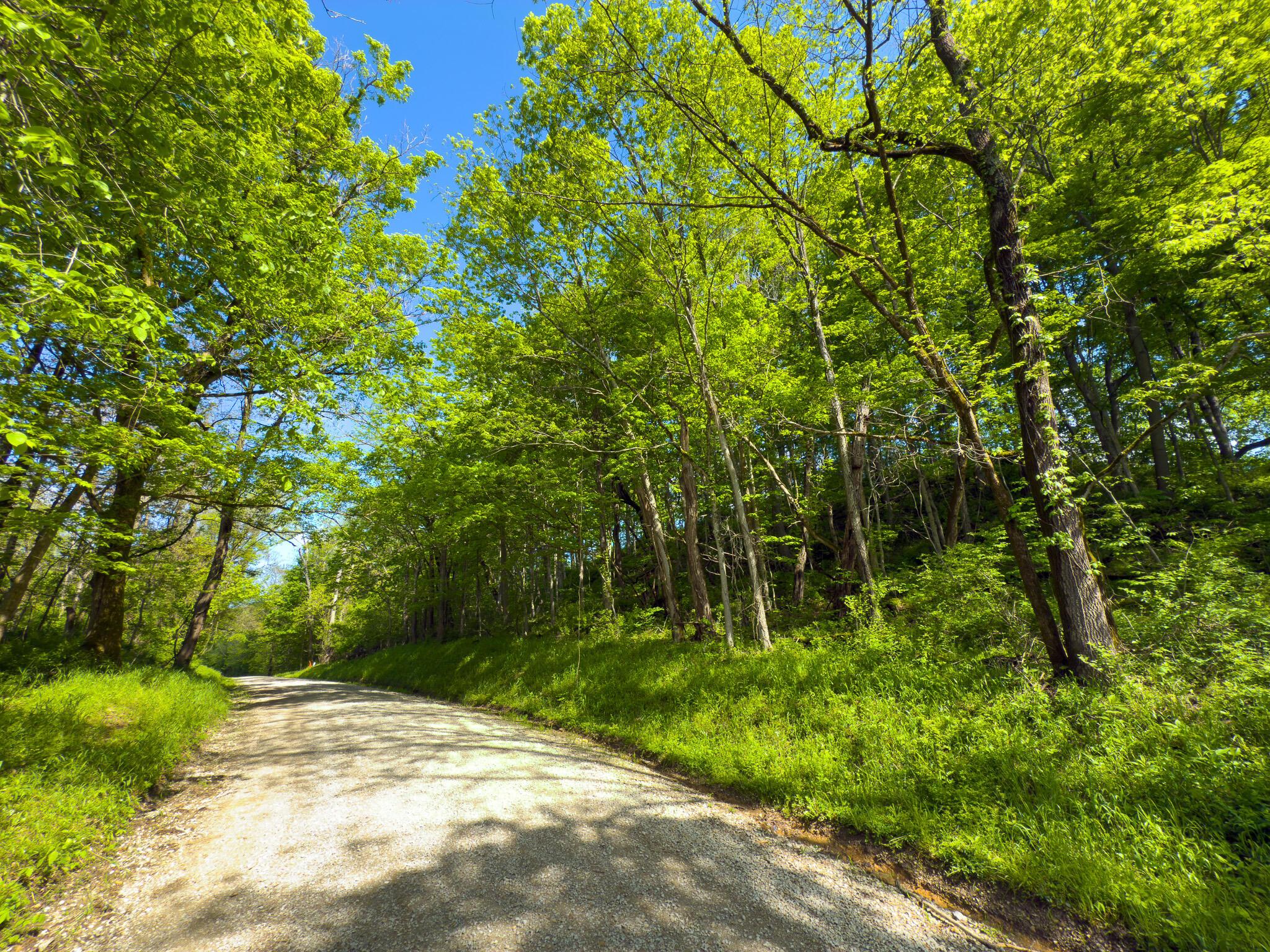 Morganville Road, Malta, Ohio image 21