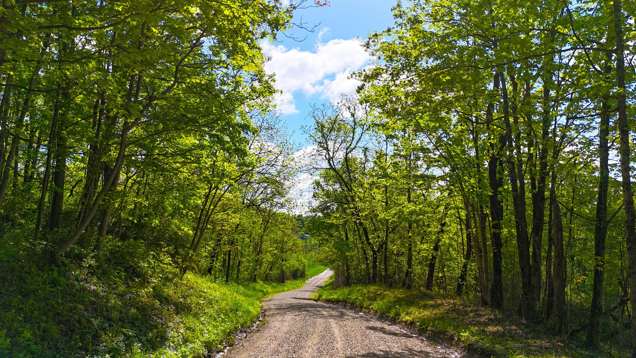 Morganville Road, Malta, Ohio image 6