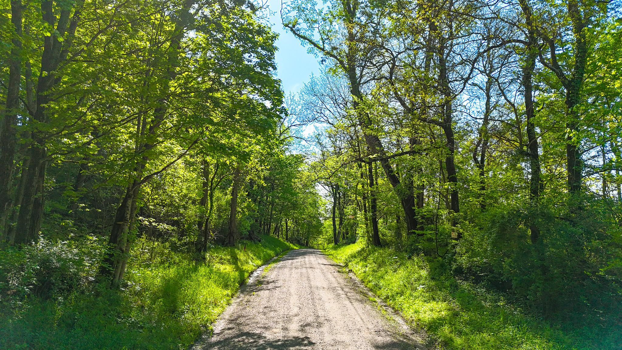 Morganville Road, Malta, Ohio image 16