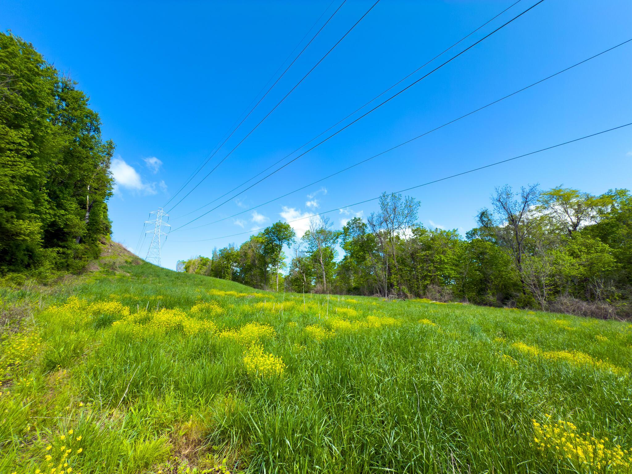 Morganville Road, Malta, Ohio image 20