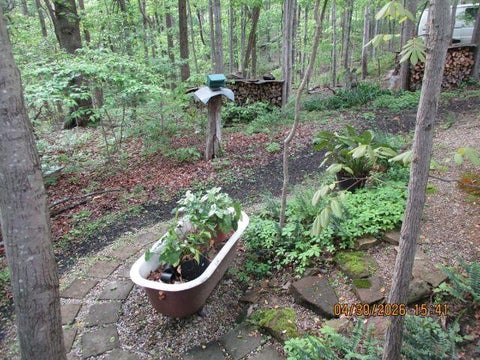 Tiny photo for 24301 Brown Road 0 #0, South Bloomingville, OH 43152 (MLS # 226034144)