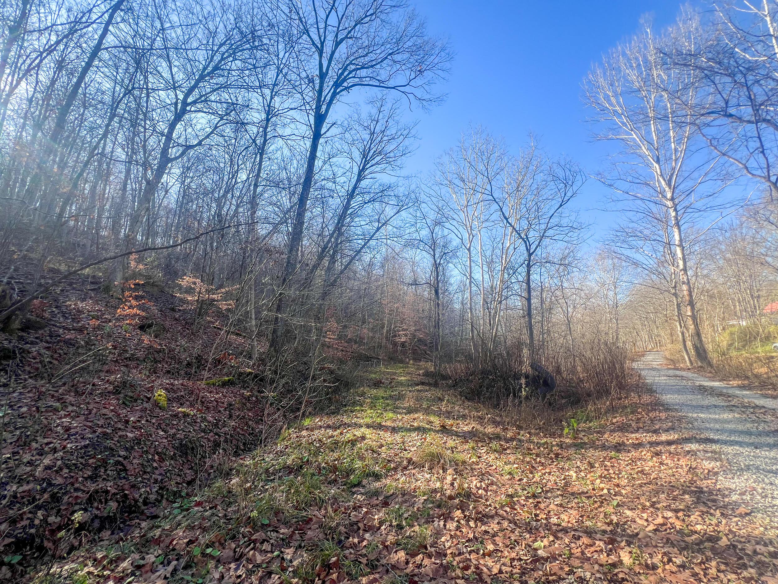 601 Fairgreens Road, Jackson, Ohio image 4