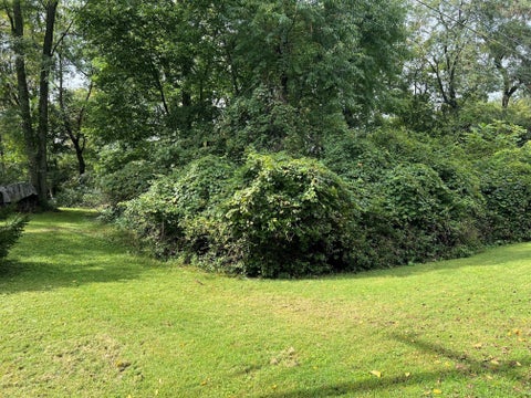 Photo of 62 Kurrley Street, Delaware, OH 43015 (MLS # 226035695)