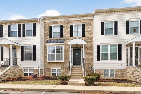 Tiny photo for 123 Preswicke Mill, Blacklick, OH 43004 (MLS # 226002479)