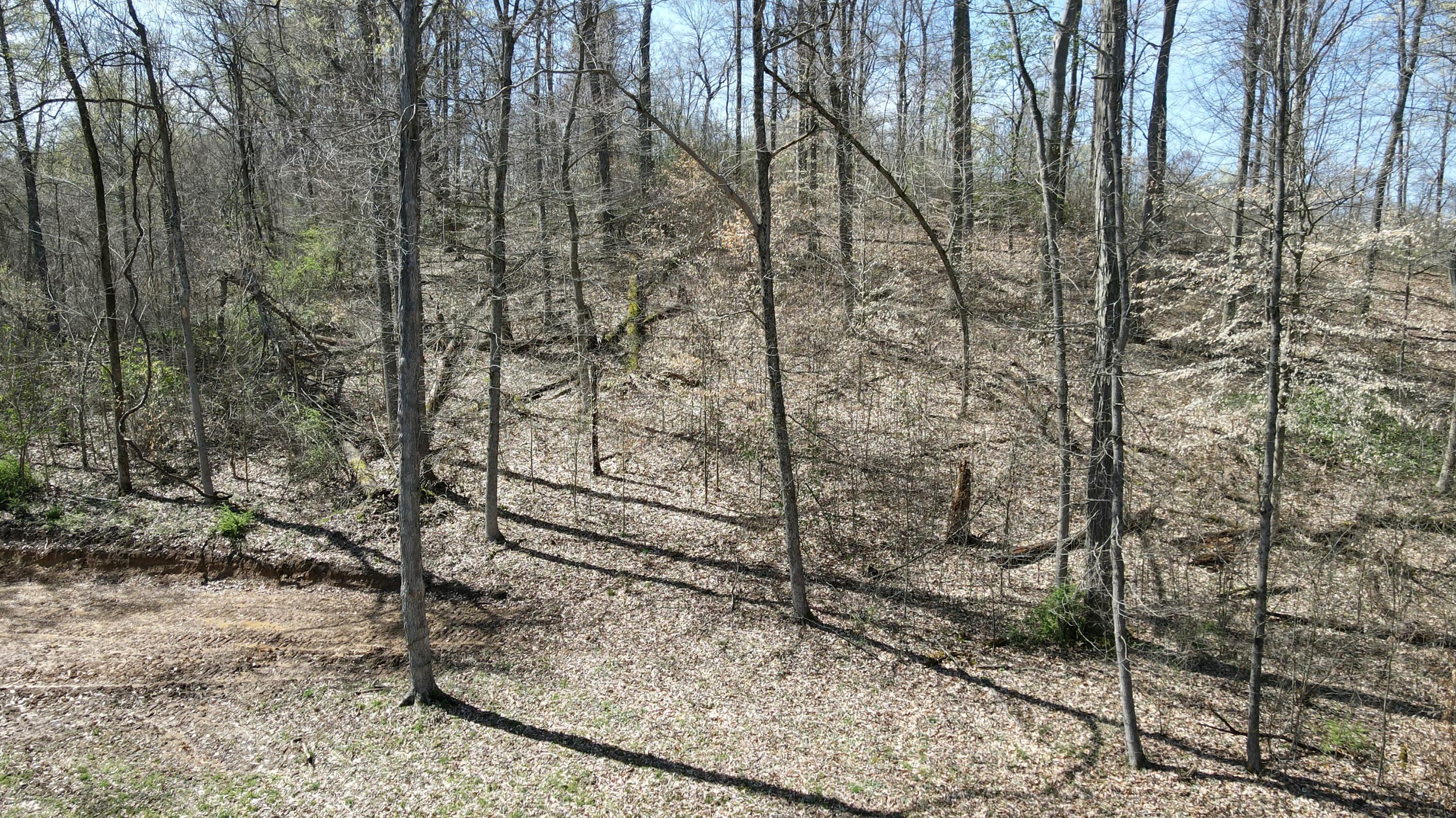 Swamp Road, Logan, Ohio image 23