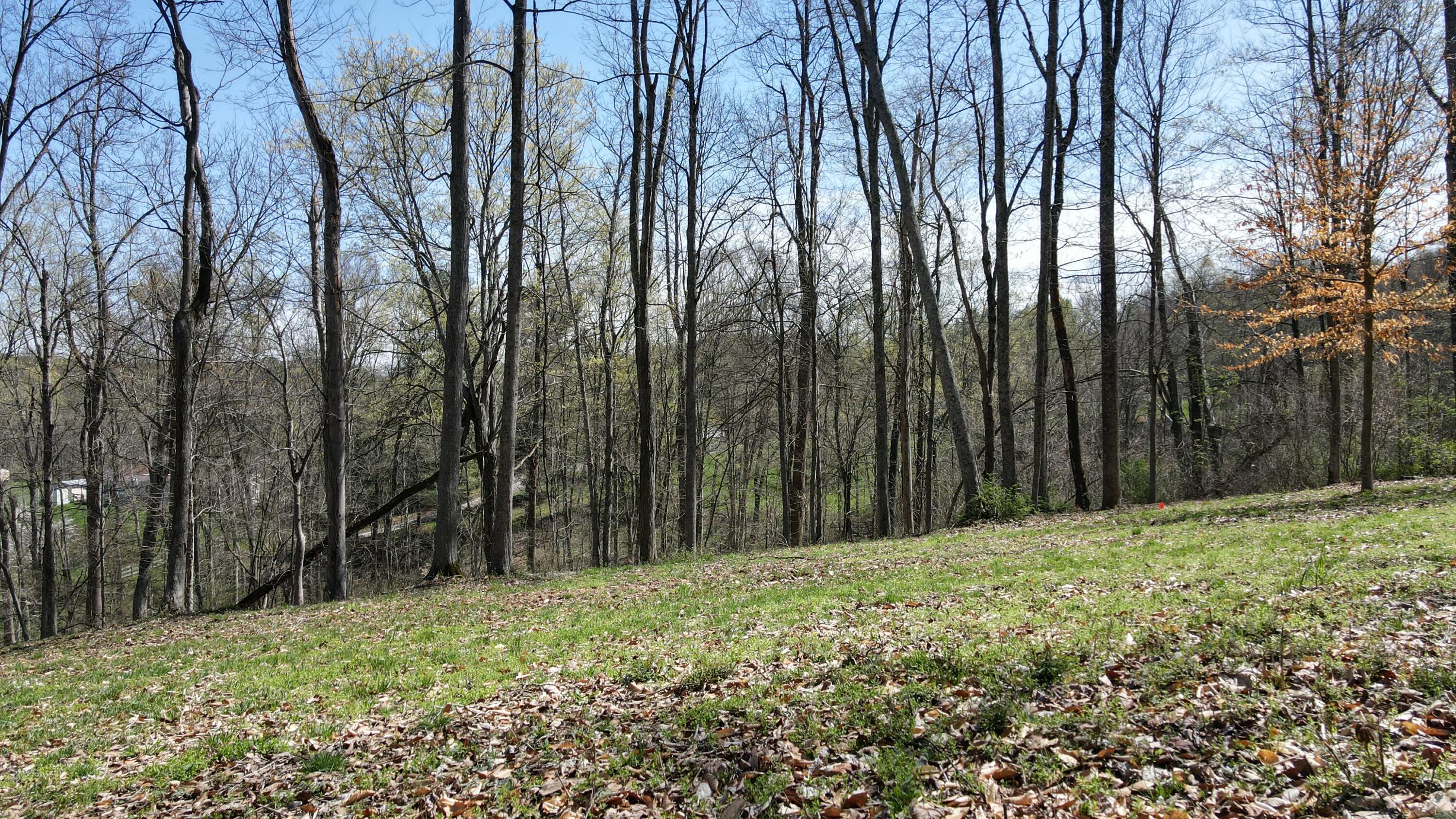 Swamp Road, Logan, Ohio image 18