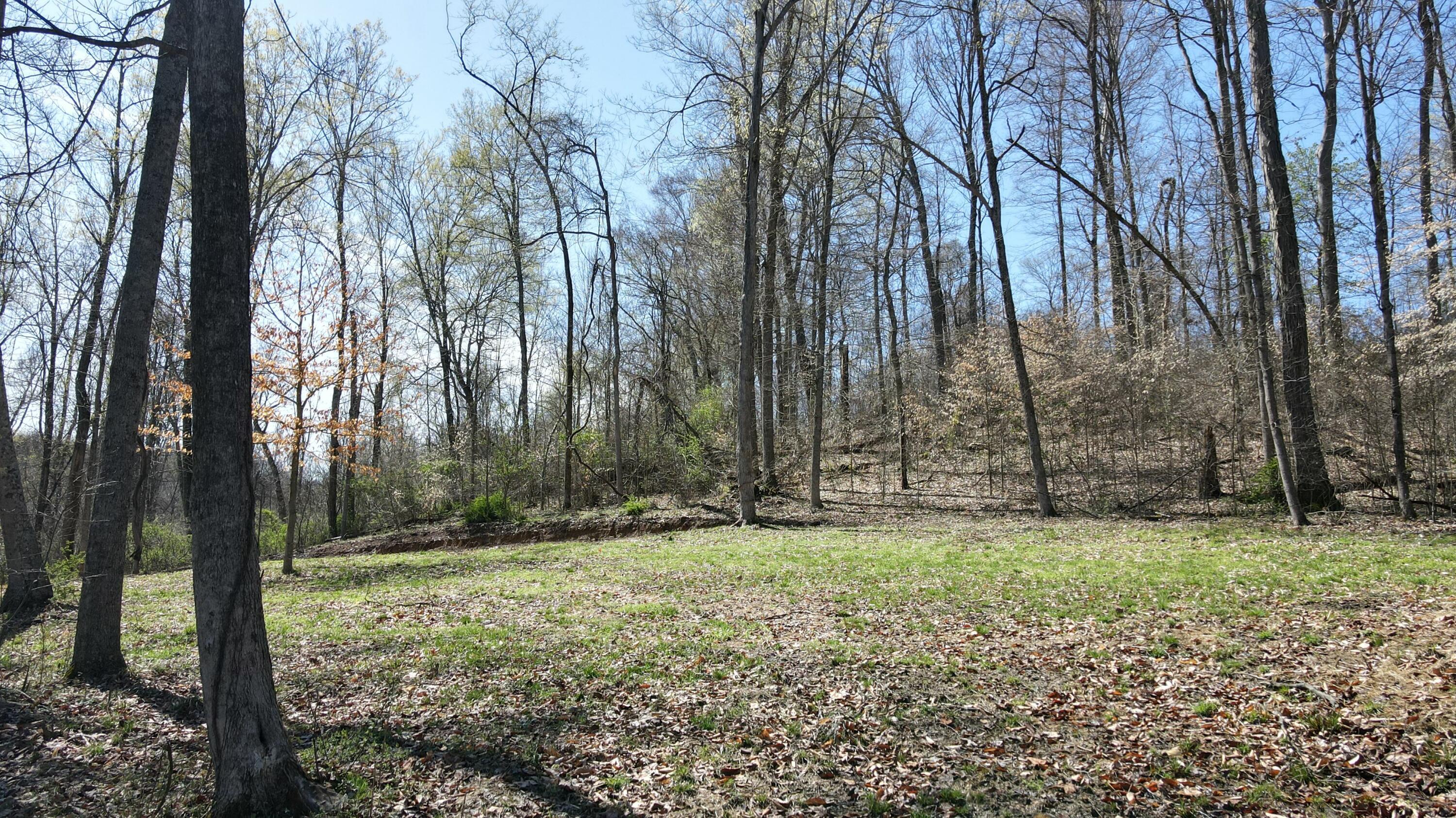 Swamp Road, Logan, Ohio image 21
