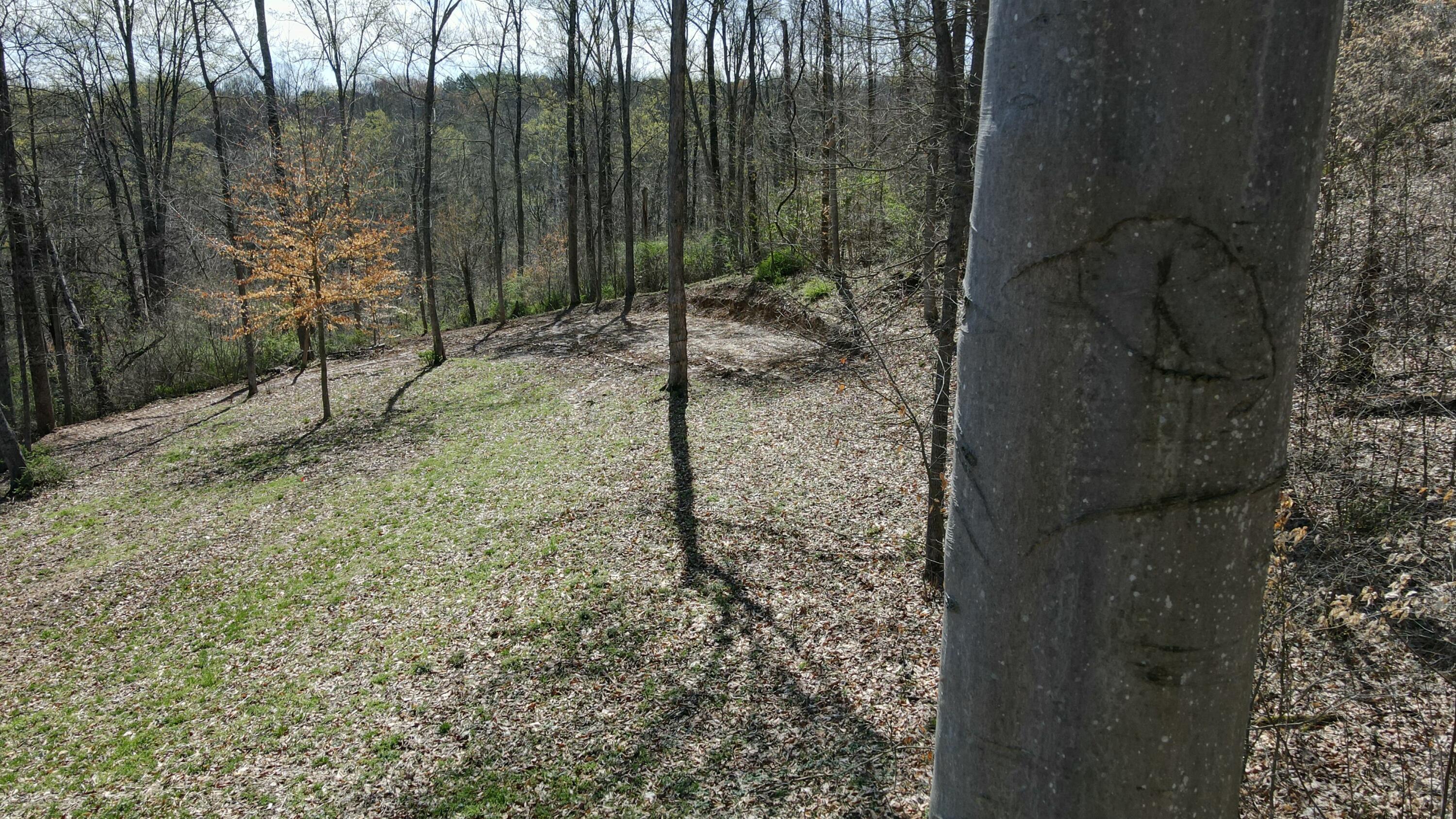 Swamp Road, Logan, Ohio image 20