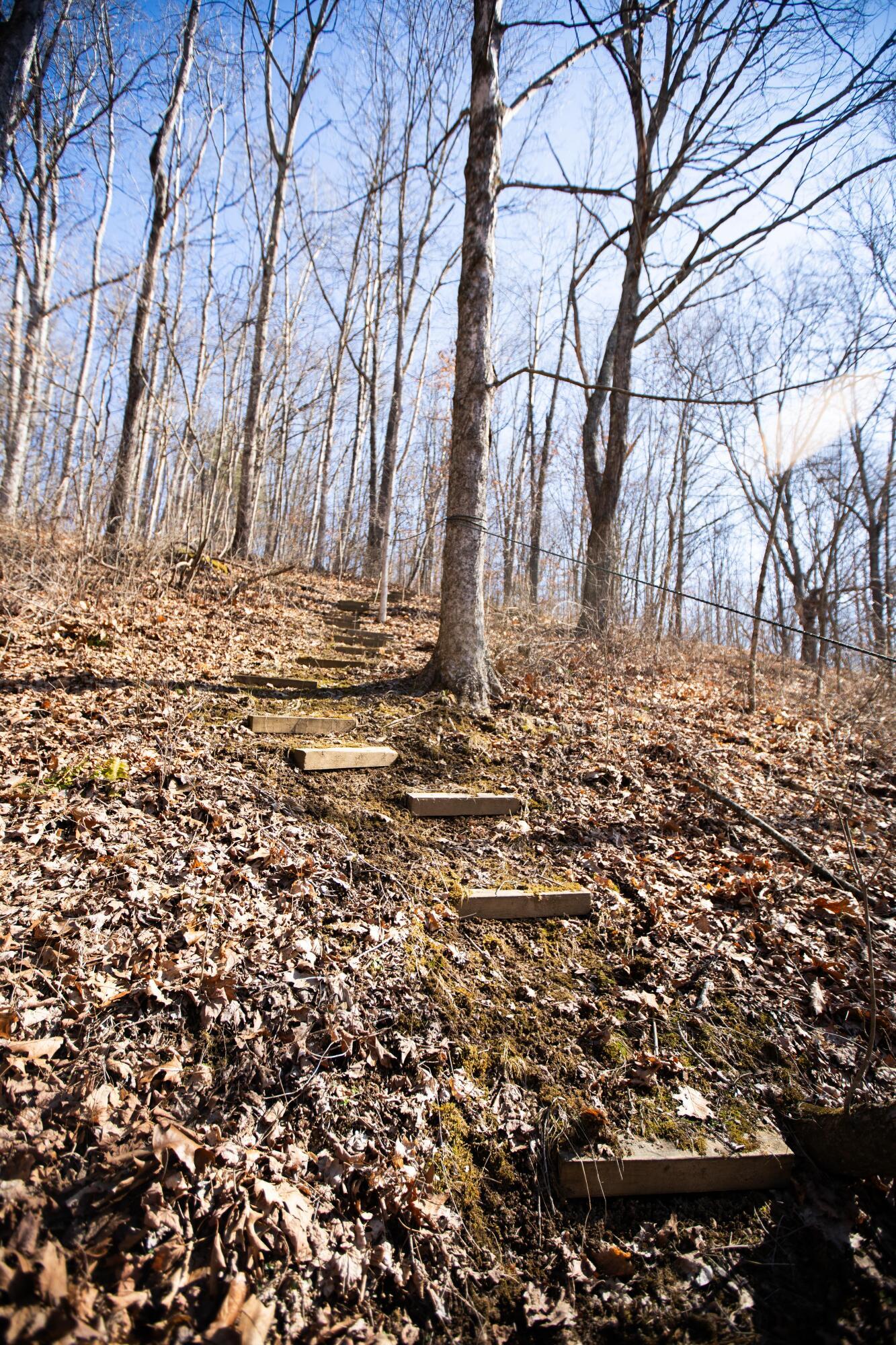 4624 Rhoric Road, Athens, Ohio image 16