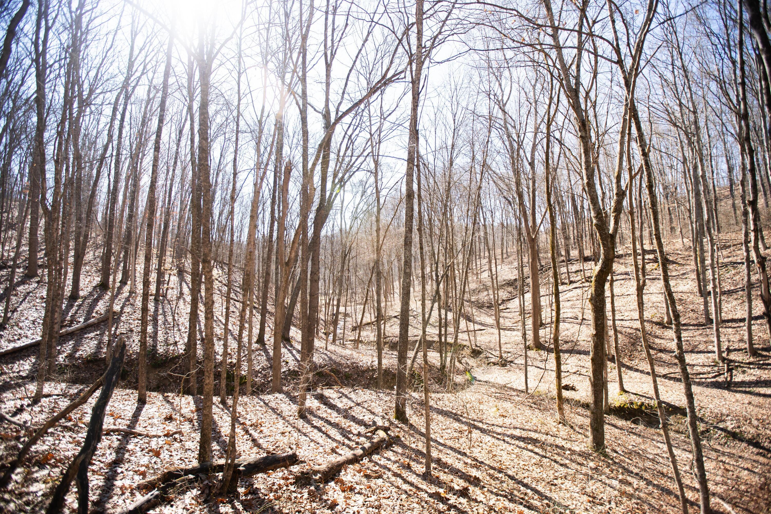 4624 Rhoric Road, Athens, Ohio image 11