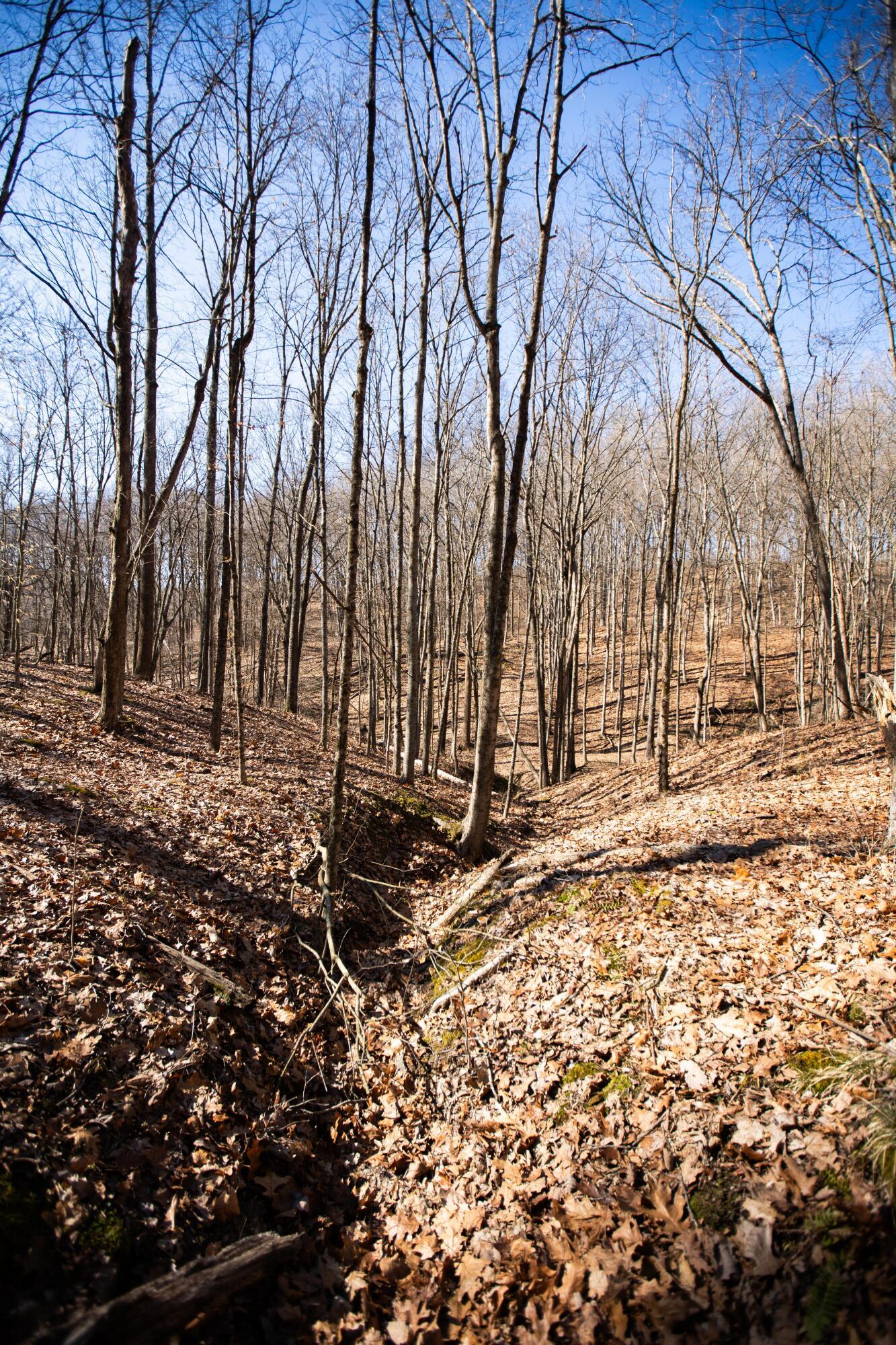 4624 Rhoric Road, Athens, Ohio image 13