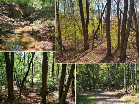 Photo of 929 Poplar Ridge Road (Ponds Poplar Ridge Tract 14) #(Ponds Poplar Ridge, Gallipolis, OH 45631 (MLS # 225044924)