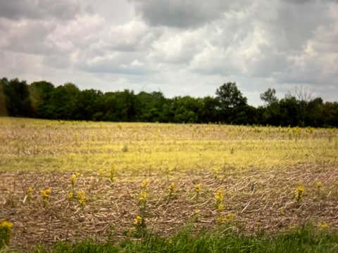 Photo for Lot 3 West Shoemaker Rd