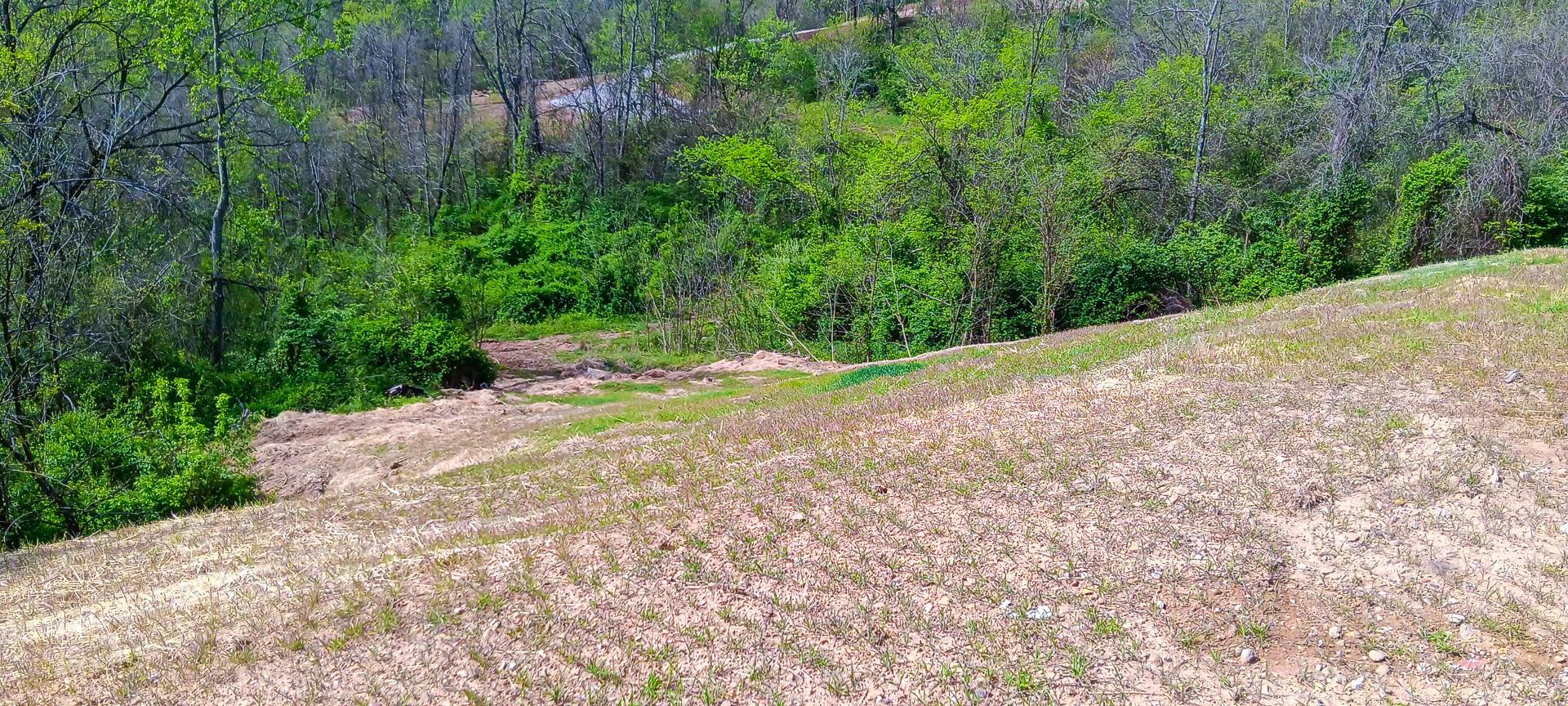 143 Garland Creek Road #CROWN WILDLIFE TRACT 3, Crown City, Ohio image 48