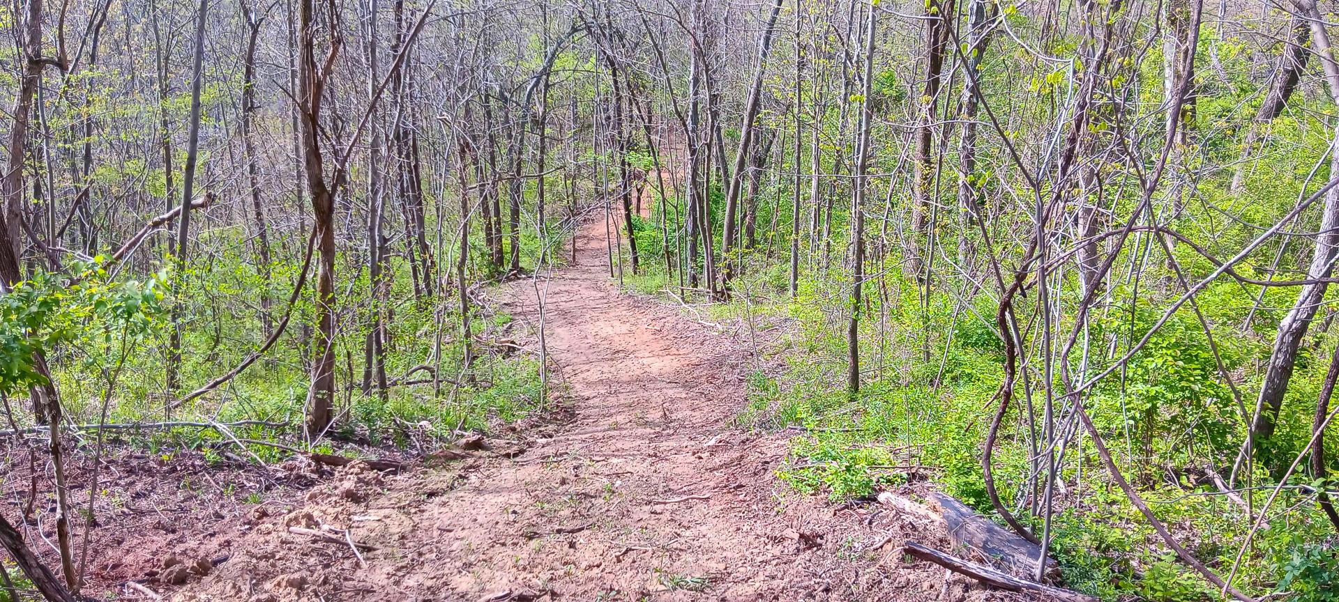 143 Garland Creek Road #CROWN WILDLIFE TRACT 3, Crown City, Ohio image 40