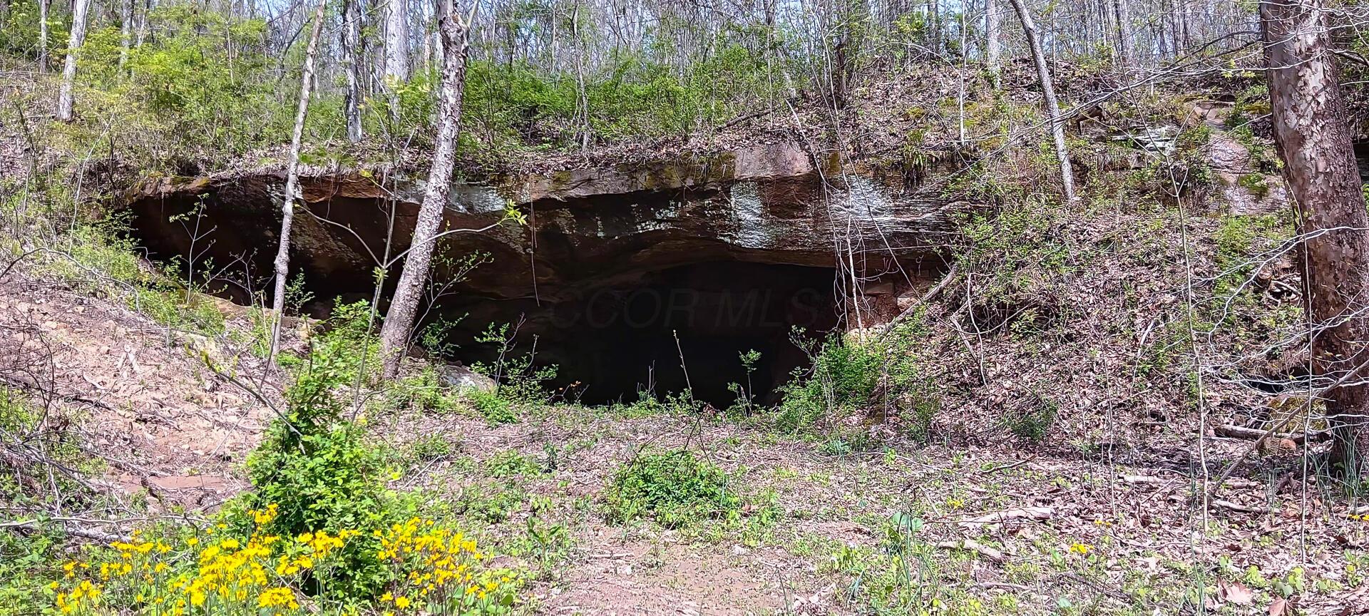 143 Garland Creek Road #CROWN WILDLIFE TRACT 3, Crown City, Ohio image 8