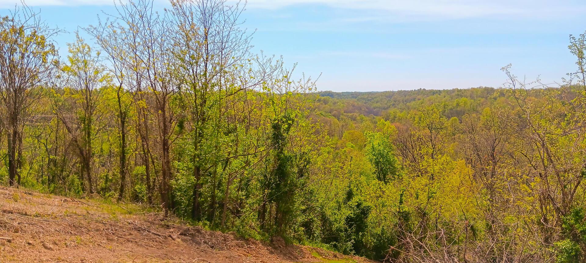 143 Garland Creek Road #CROWN WILDLIFE TRACT 3, Crown City, Ohio image 4