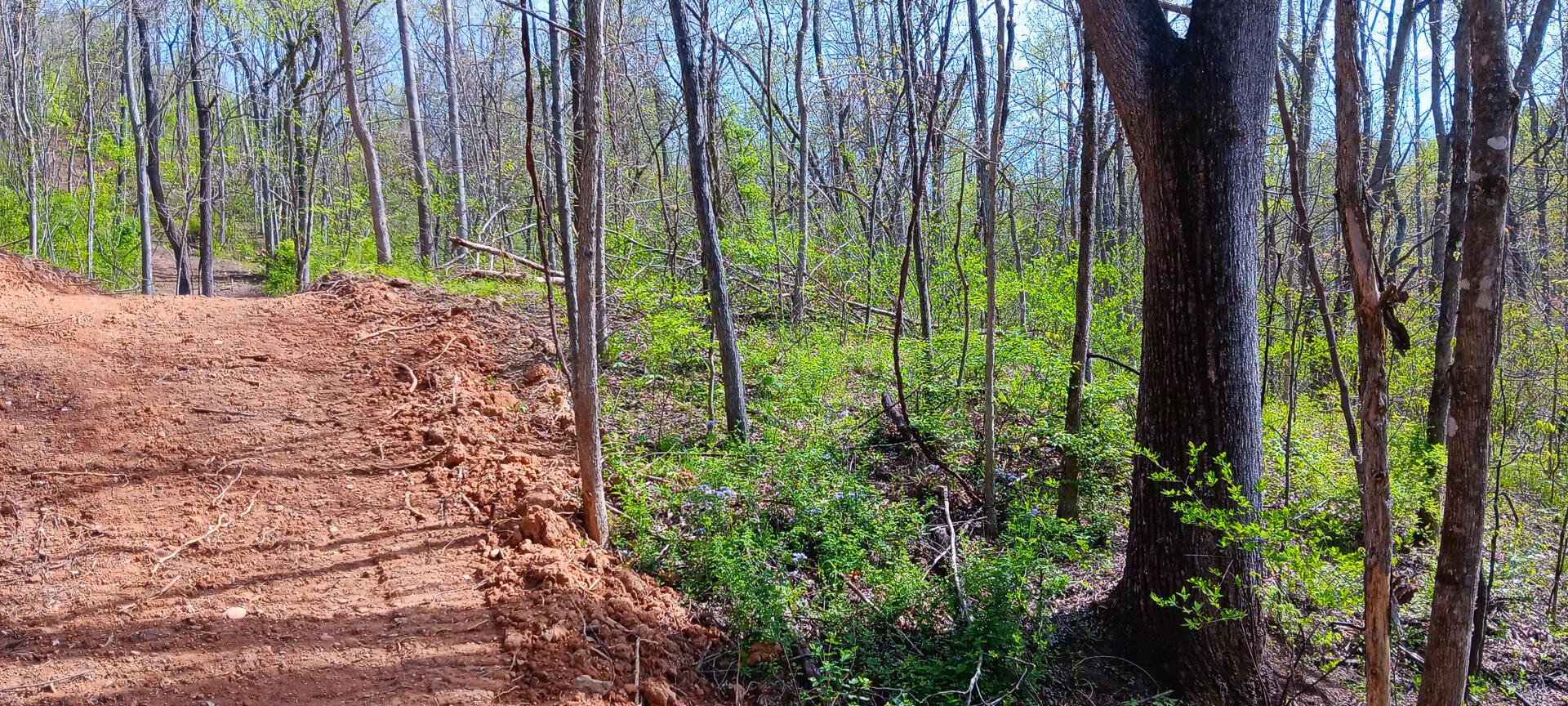 143 Garland Creek Road #CROWN WILDLIFE TRACT 3, Crown City, Ohio image 21
