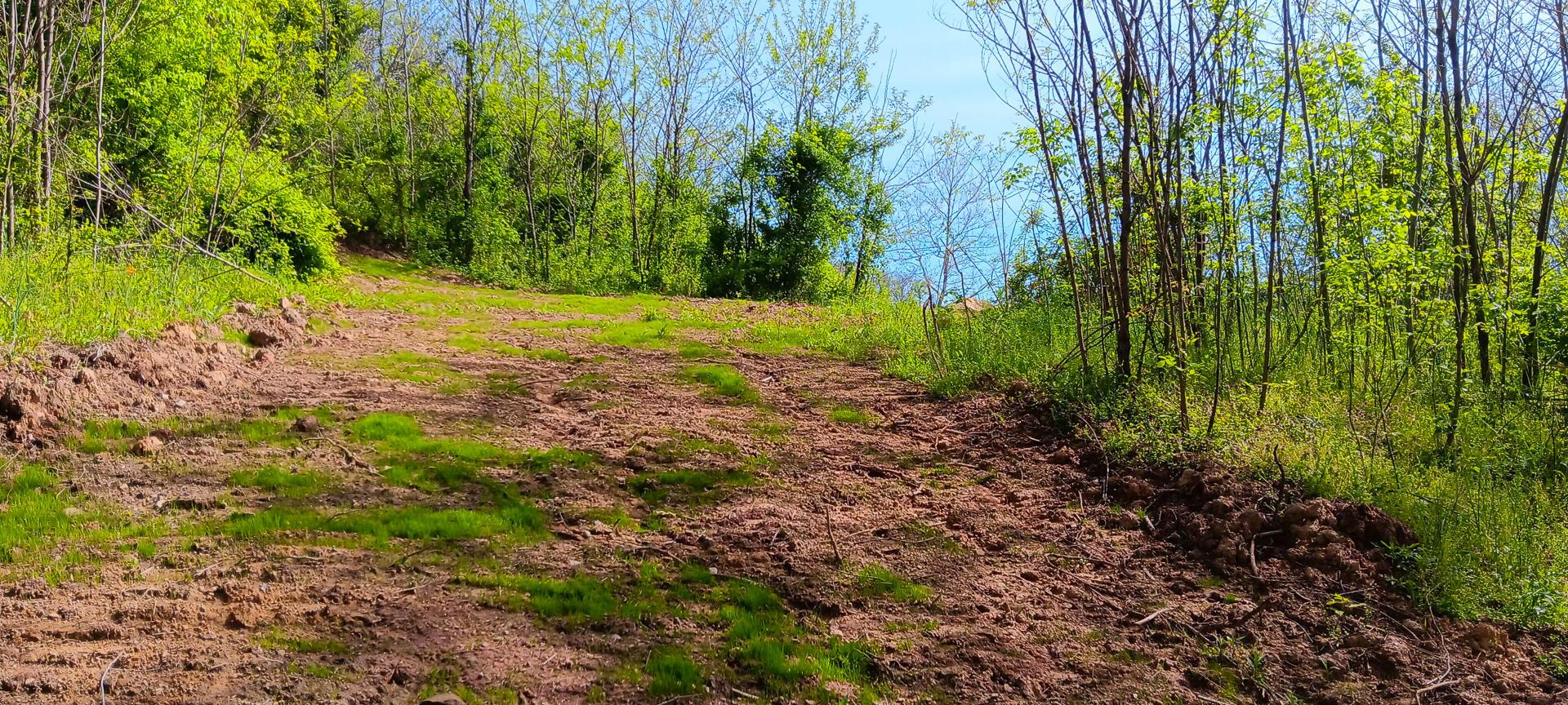 143 Garland Creek Road #CROWN WILDLIFE TRACT 3, Crown City, Ohio image 23