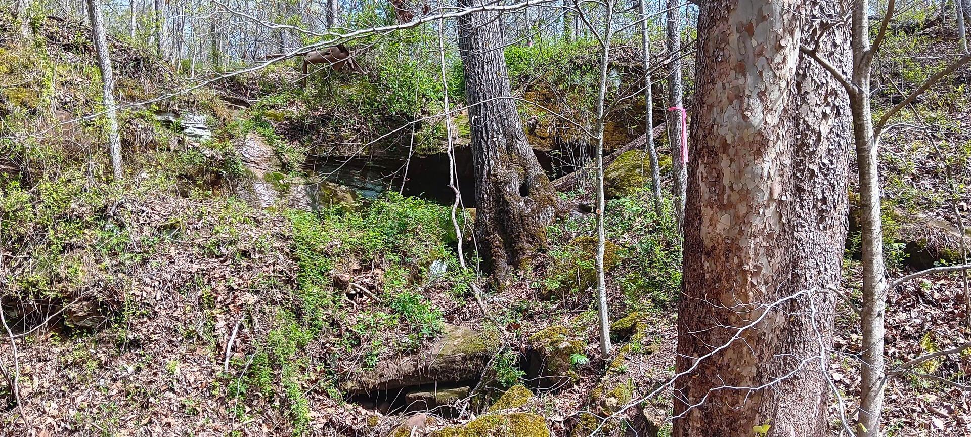 143 Garland Creek Road #CROWN WILDLIFE TRACT 3, Crown City, Ohio image 11