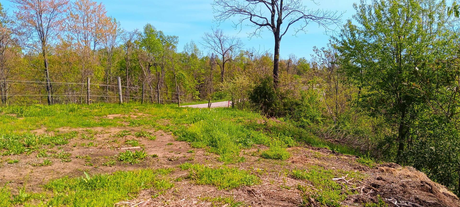 143 Garland Creek Road #CROWN WILDLIFE TRACT 3, Crown City, Ohio image 35