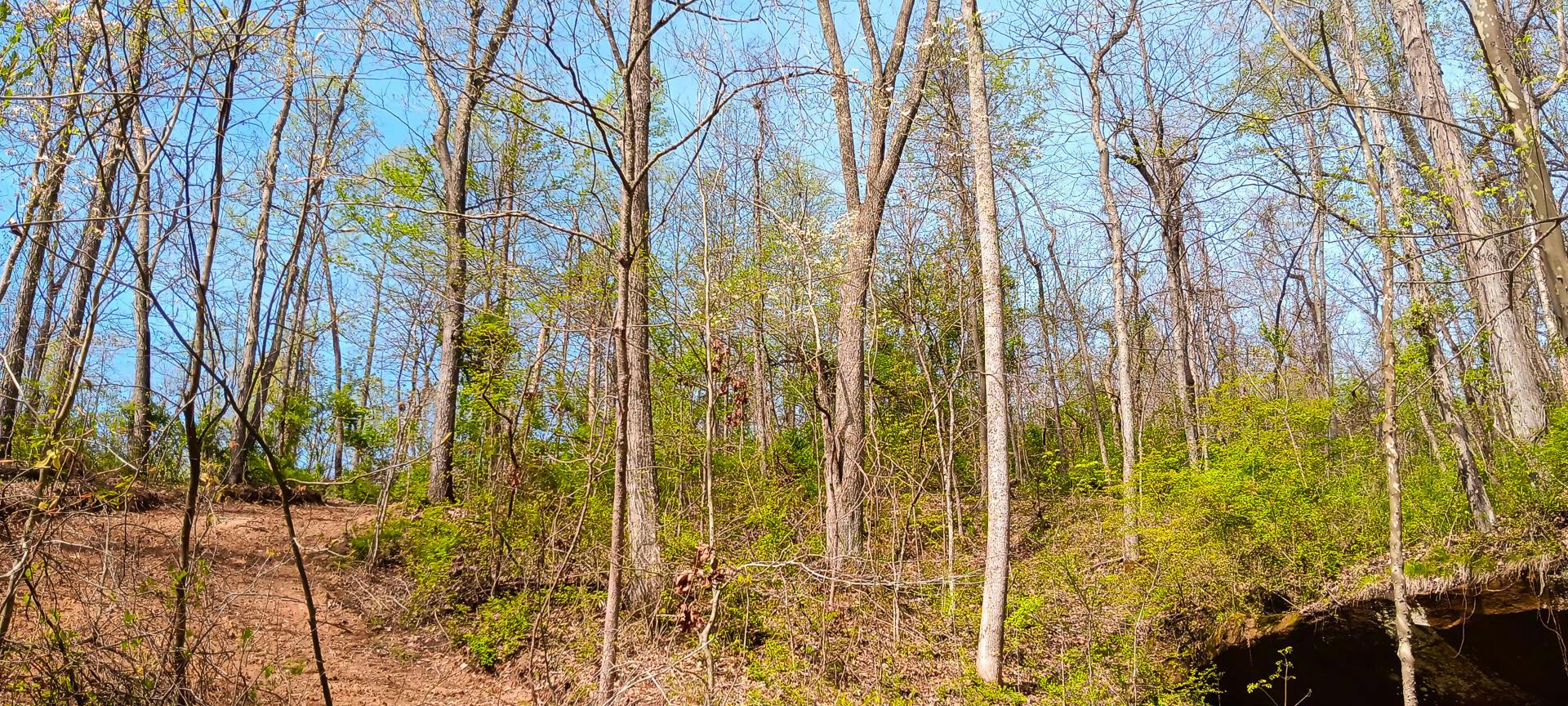 143 Garland Creek Road #CROWN WILDLIFE TRACT 3, Crown City, Ohio image 17