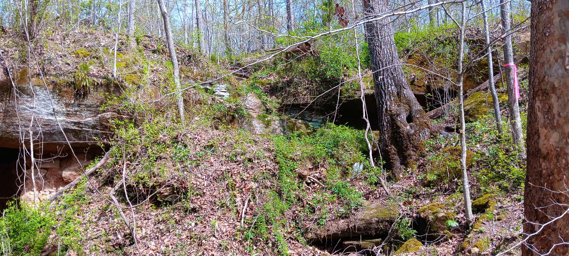 143 Garland Creek Road #CROWN WILDLIFE TRACT 3, Crown City, Ohio image 10