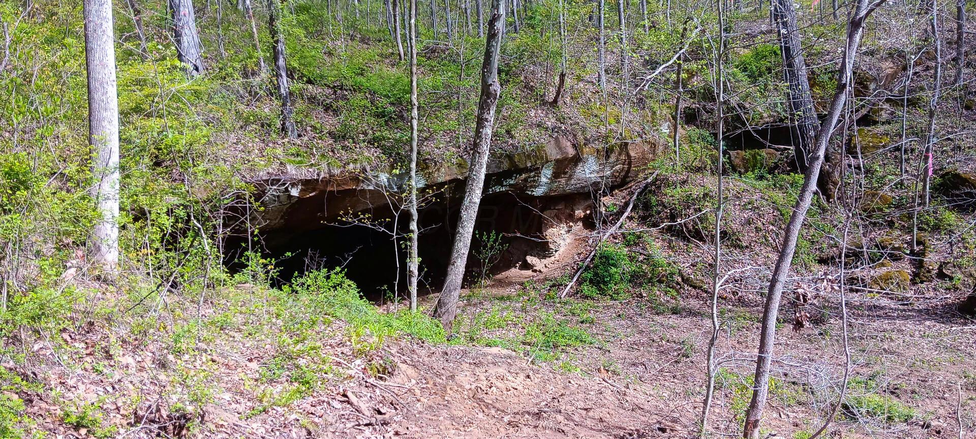 143 Garland Creek Road #CROWN WILDLIFE TRACT 3, Crown City, Ohio image 7