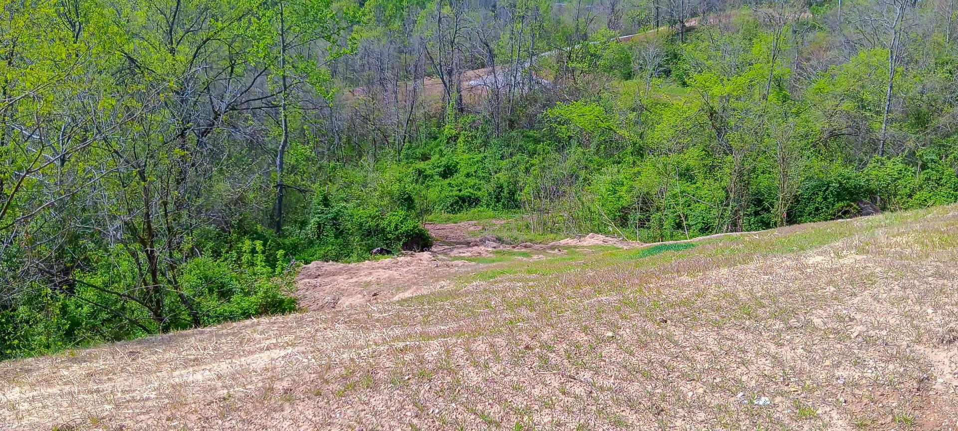 143 Garland Creek Road #CROWN WILDLIFE TRACT 3, Crown City, Ohio image 47