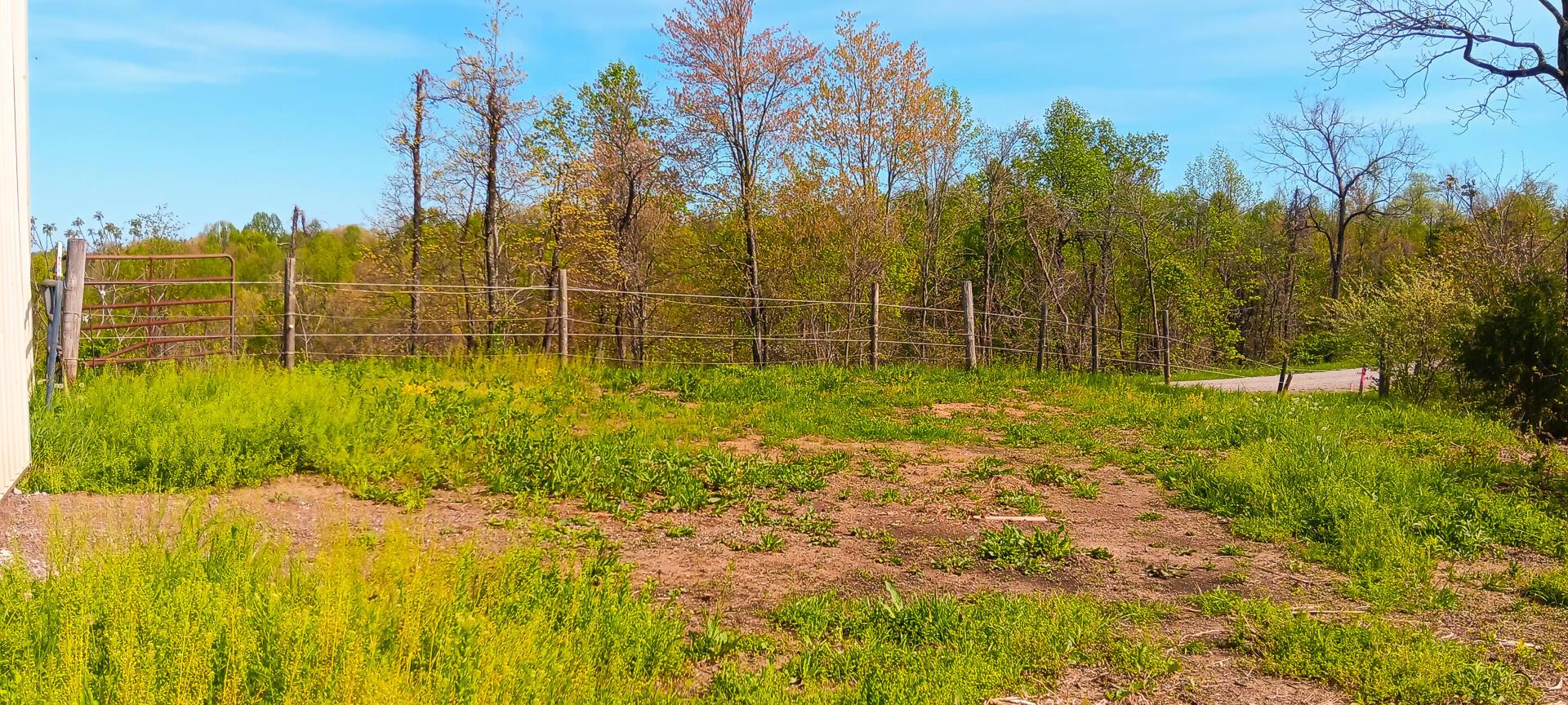 143 Garland Creek Road #CROWN WILDLIFE TRACT 3, Crown City, Ohio image 34