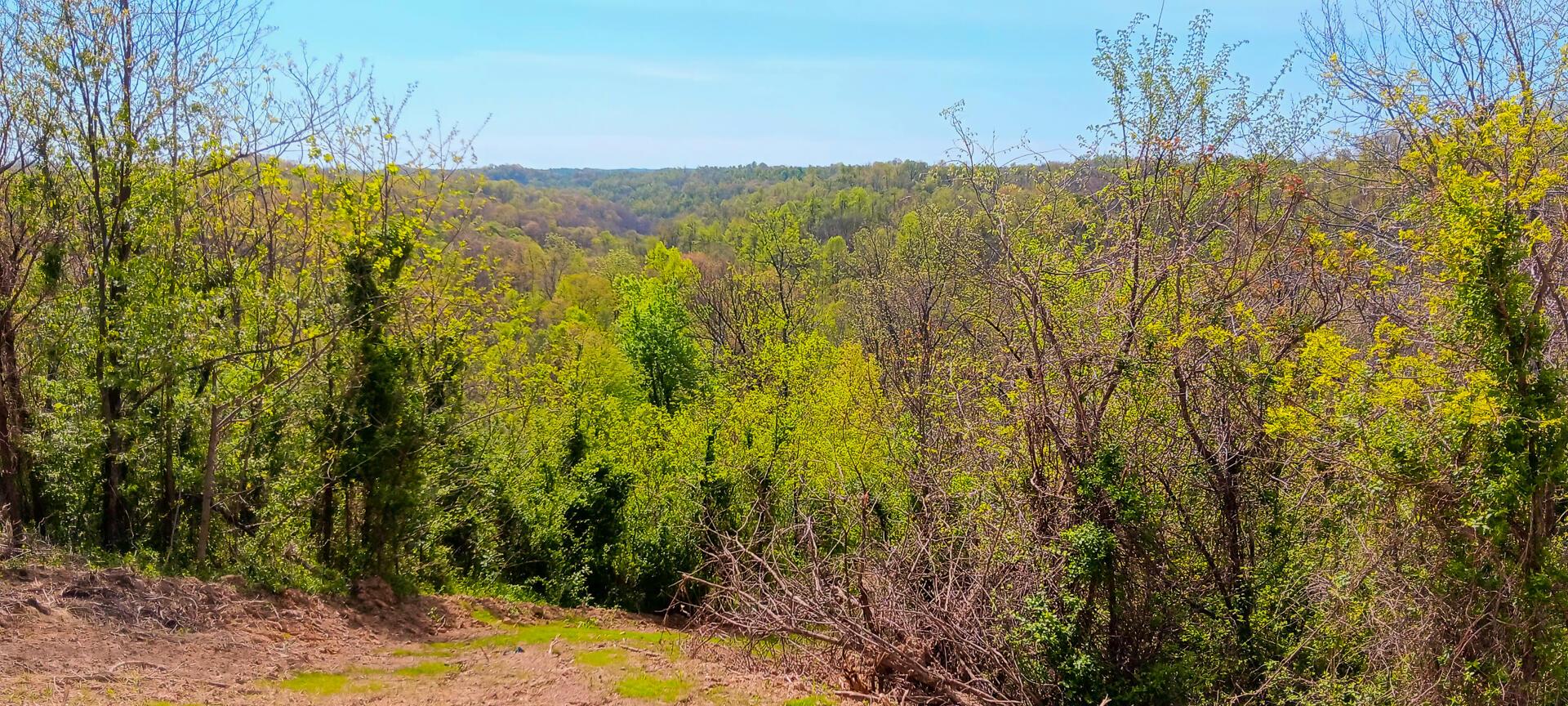143 Garland Creek Road #CROWN WILDLIFE TRACT 3, Crown City, Ohio image 46