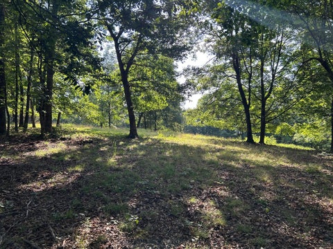 Photo of 6741 Big Spruce Little Bear Road, Otway, OH 45657 (MLS # 226029984)