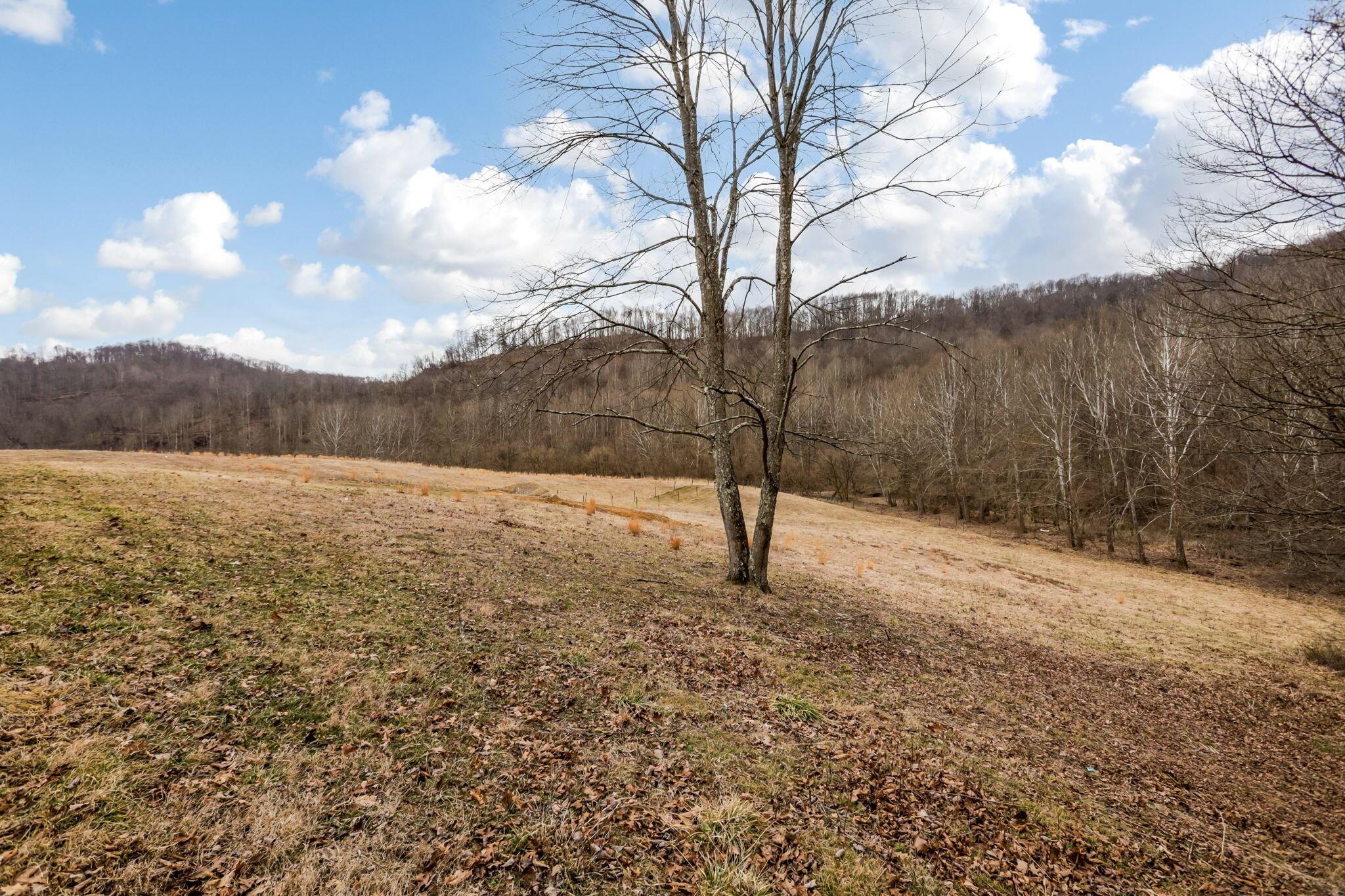 39885 Road Fork Road, Caldwell, Ohio image 22