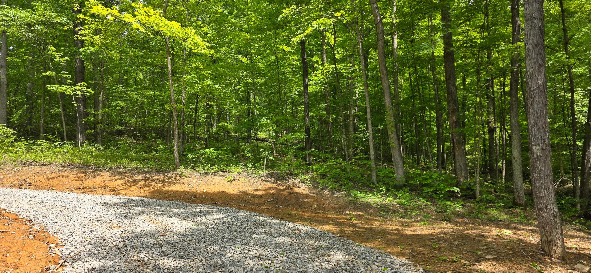 Edmudson Road #TRACT 1 PHASE 2 BIG TIMBE, Langsville, Ohio image 11