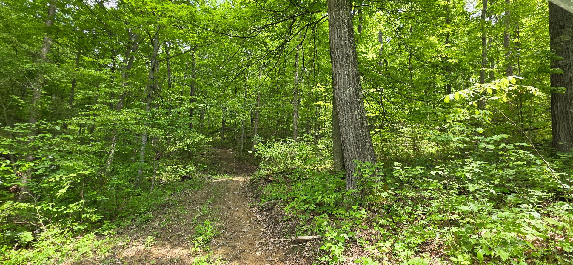 Edmudson Road #TRACT 1 PHASE 2 BIG TIMBE, Langsville, Ohio image 28