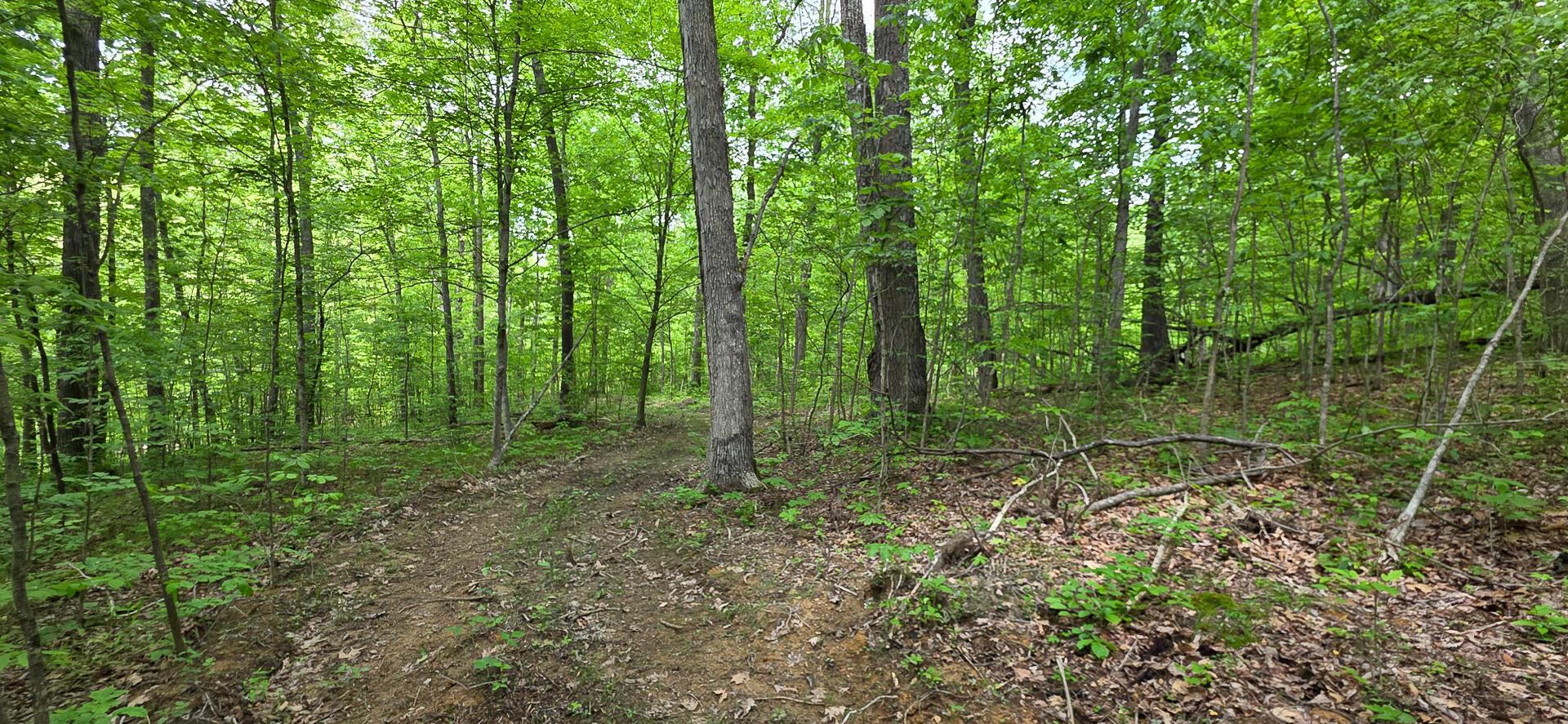 Edmudson Road #TRACT 1 PHASE 2 BIG TIMBE, Langsville, Ohio image 22
